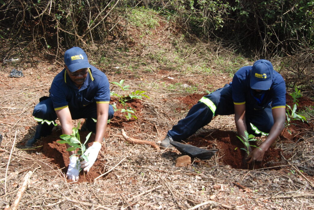 Tree Planting Exercise at Ngong